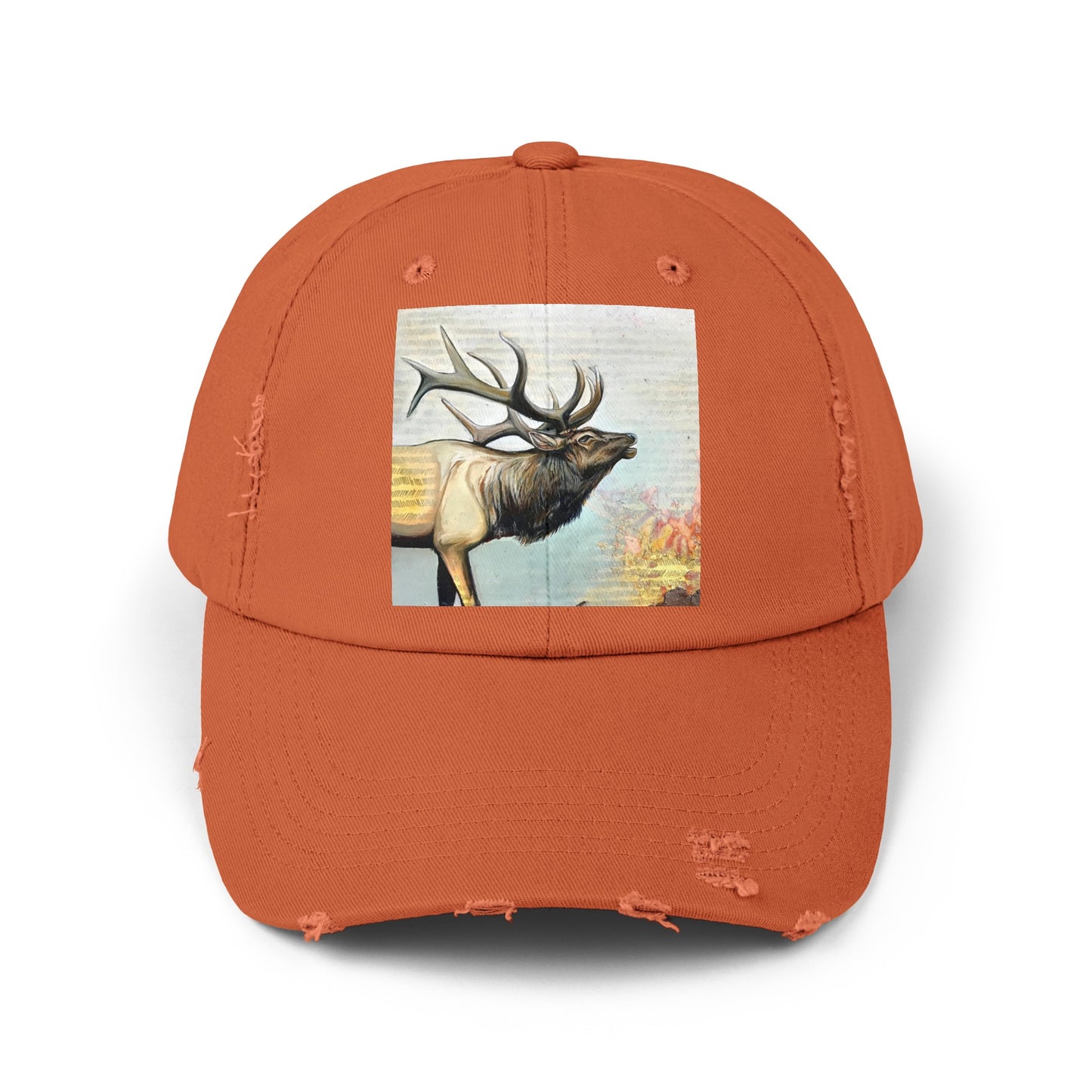 Unisex Distressed Cap