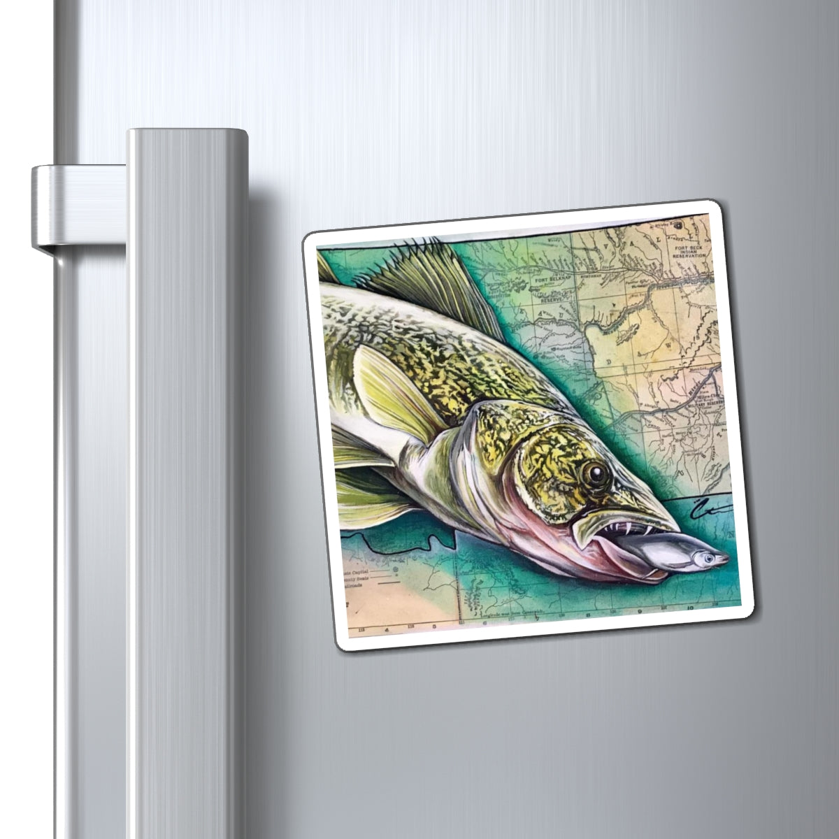 Fish On Magnets